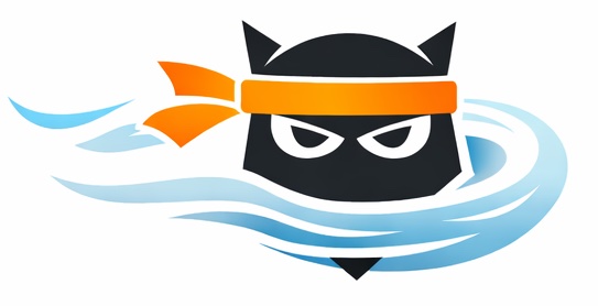 NinjaFlow Logo